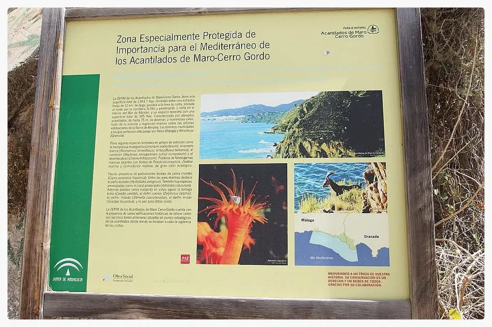 Paraje Natural de los Acantilados de Maro-Cerro Gordo en Nerja — interior (4 de 19)