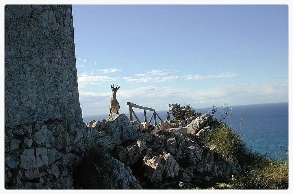 Paraje Natural de los Acantilados de Maro-Cerro Gordo en Nerja — vista principal (2 de 19)