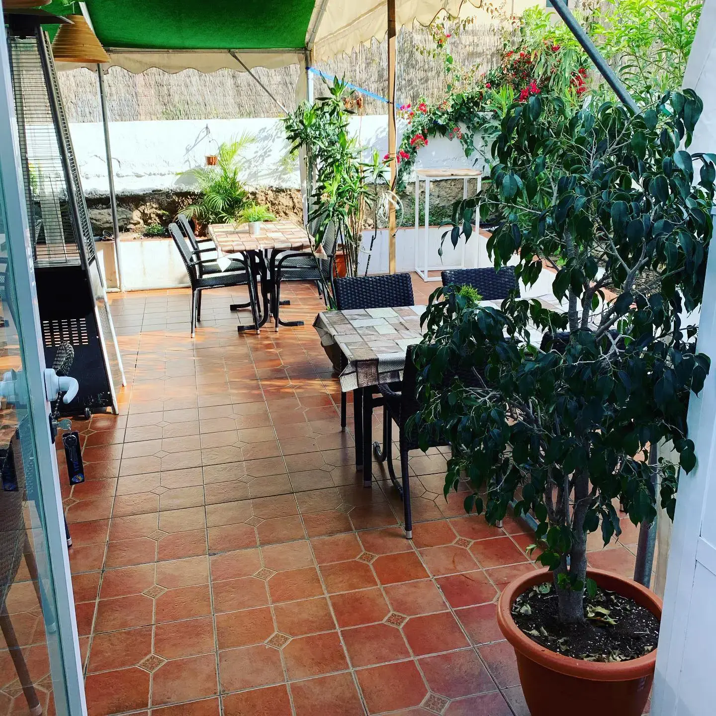 Restaurante Sal y Pimienta en Nerja — interior (4 de 16)