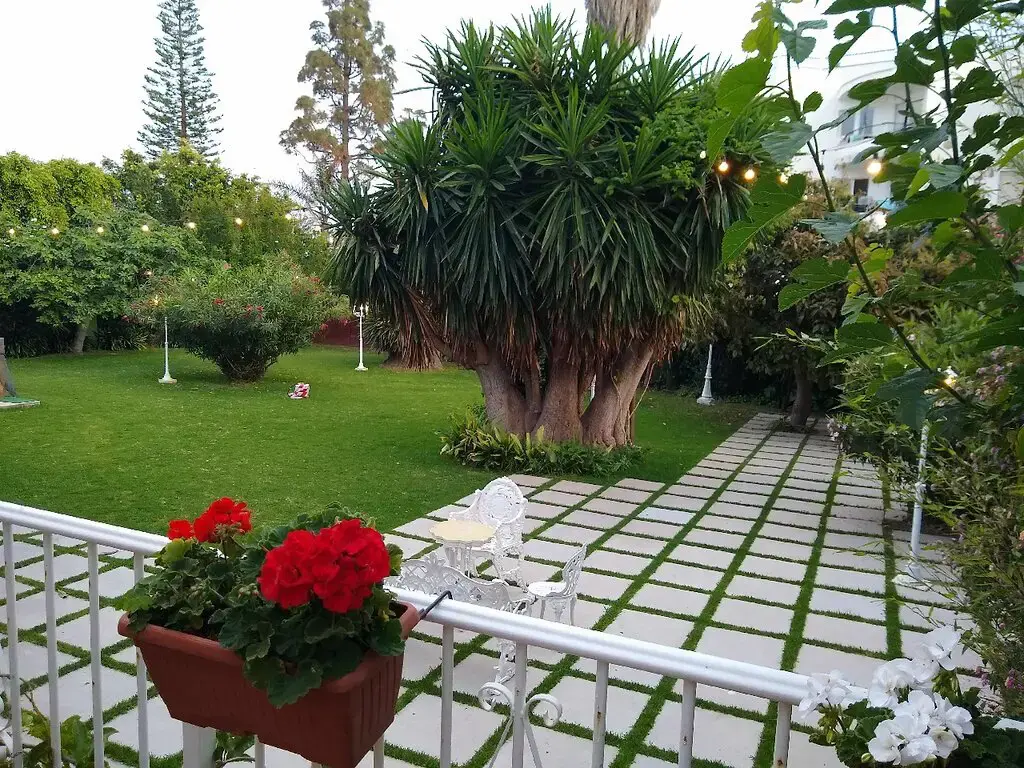 Bar-Restaurant Mena Garden en Nerja — exterior (3 de 25)