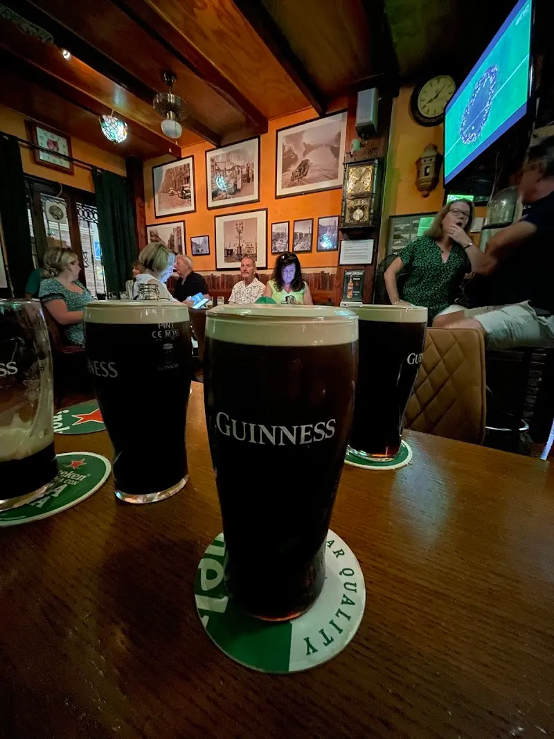 The Irish Harp Bar en Nerja — interior (4 de 10)